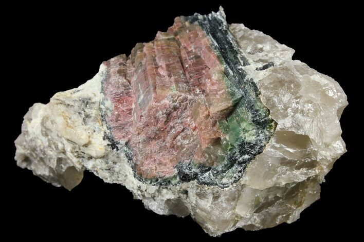 Rainbow Tourmaline (Elbaite) in Quartz - Leduc Mine, Quebec #133009